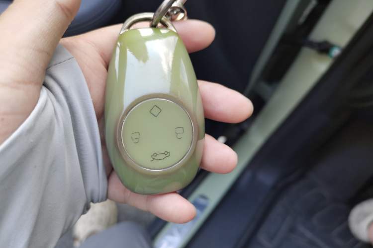 Used Leapmotor T03 2021 400 Luxury Pro Edition Vehicle Key