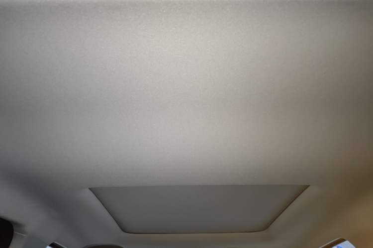 Used Leapmotor T03 2021 400 Comfort Edition Headliner