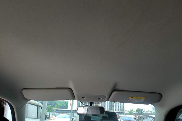 Used Leapmotor T03 2021 400 Lite Edition Lithium Iron Phosphate Headliner