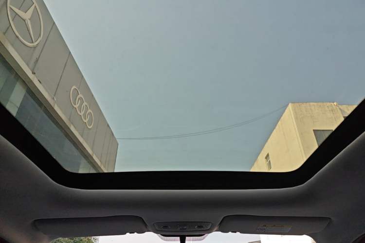 Used Leapmotor T03 2021 400 Comfort Edition Headliner