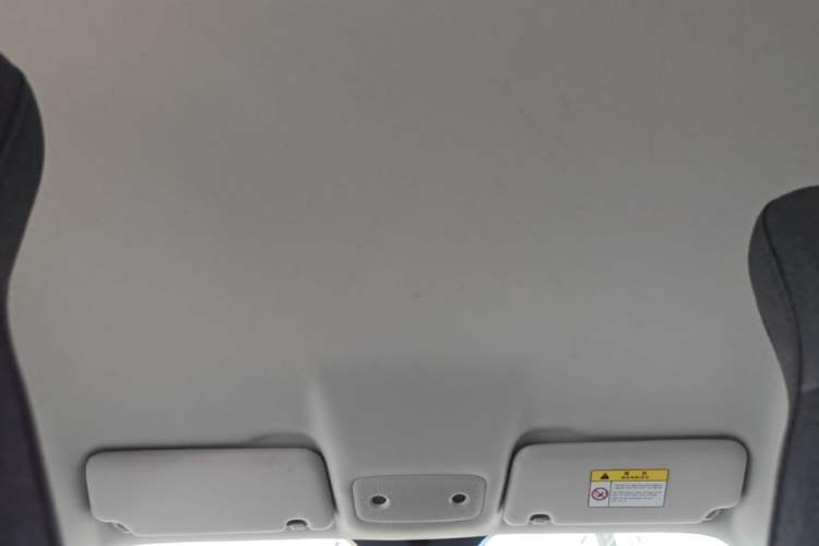 Used Leapmotor T03 2021 400 Lite Edition - Lithium-Ion Battery Headliner