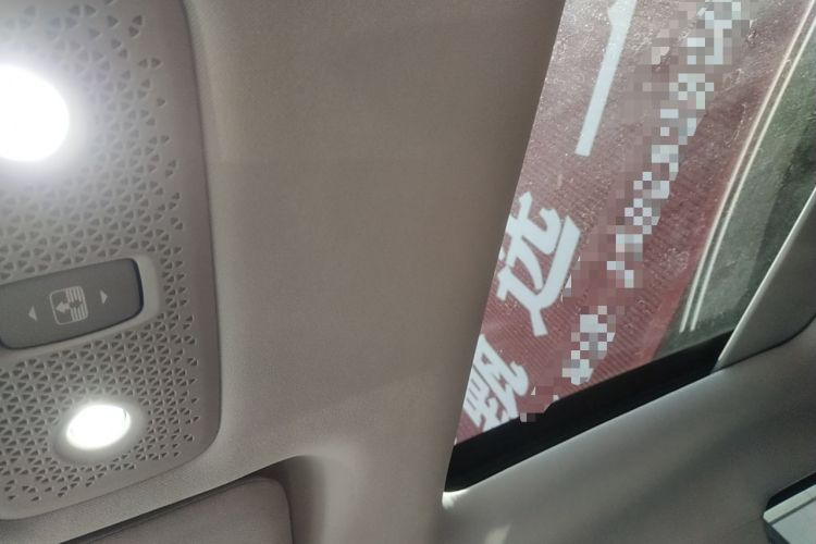 Used Leapmotor T03 2021 400 Luxury Pro Edition Headliner