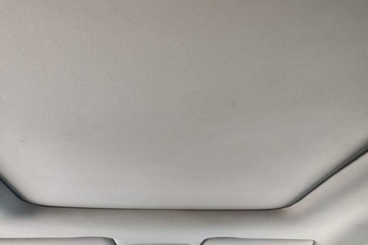 Used Leapmotor T03 2021 400 Luxury Edition Headliner