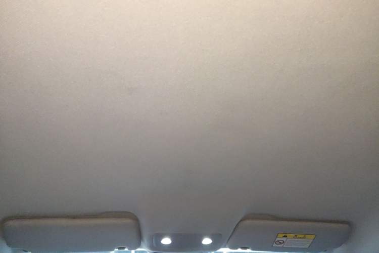 Used Leapmotor T03 2021 400 Lite Edition - Lithium-Ion Battery Headliner