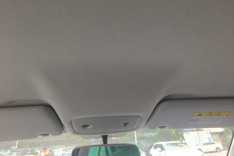 Used Leapmotor T03 2021 400 Lite Edition Lithium Iron Phosphate Headliner