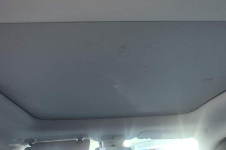 Used Leapmotor T03 2021 400 Luxury Edition Headliner