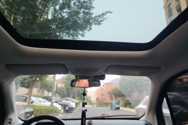 Used Leapmotor T03 2021 400 Luxury Edition Headliner
