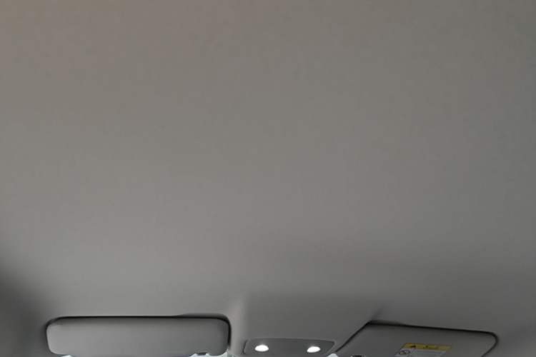 Used Leapmotor T03 2021 400 Lite Edition - Lithium-Ion Battery Headliner