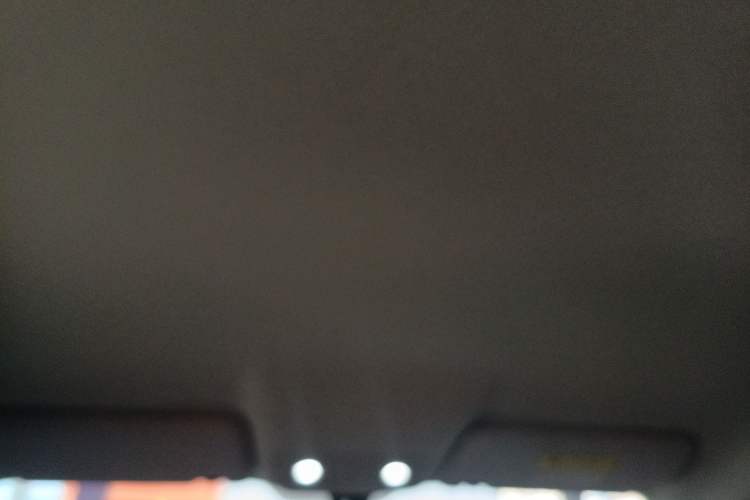 Used Leapmotor T03 2021 400 Lite Edition Lithium Iron Phosphate Headliner