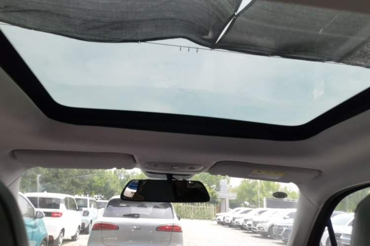 Used Leapmotor T03 2021 400 Online Booking Version Headliner