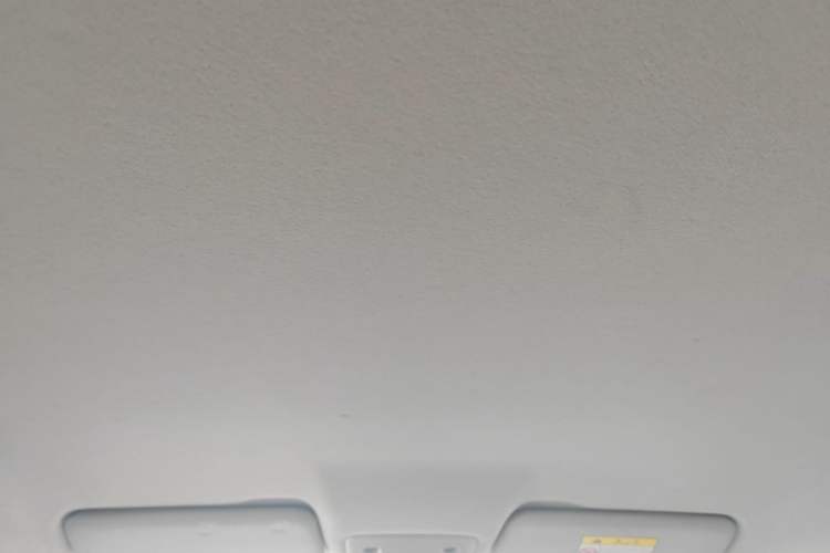 Used Leapmotor T03 2021 400 Lite Edition Lithium Iron Phosphate Headliner