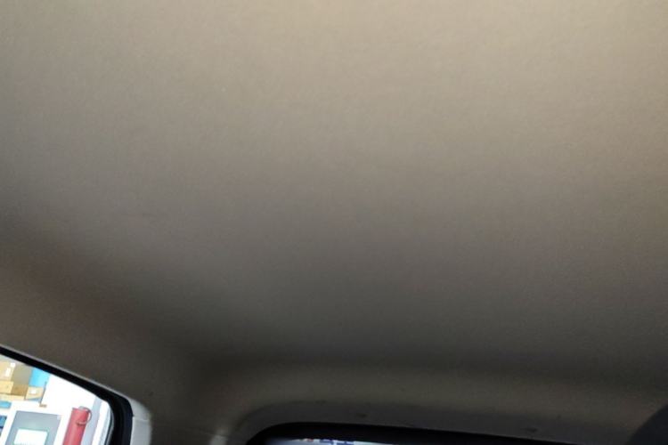 Used Leapmotor T03 2021 400 Lite Edition Lithium Iron Phosphate Headliner