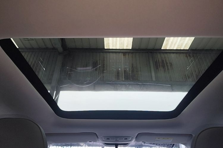 Used Leapmotor T03 2021 400 Comfort Edition Headliner
