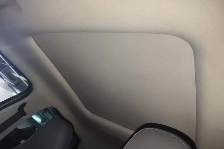 Used Leapmotor T03 2021 400 Luxury Edition Headliner