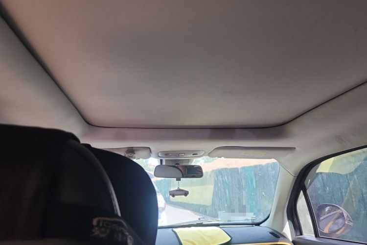Used Leapmotor T03 2021 400 Luxury Edition Headliner