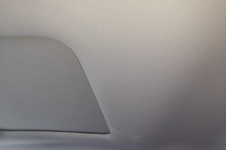 Used Leapmotor T03 2021 400 Luxury Edition Headliner