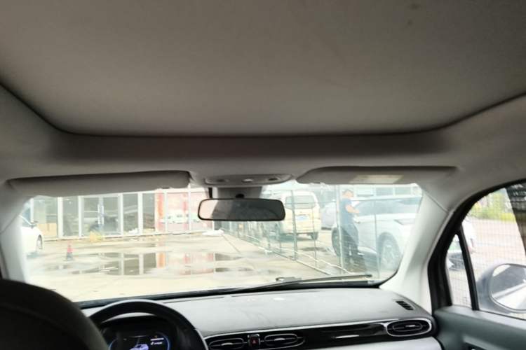 Used Leapmotor T03 2021 400 Luxury Edition Headliner