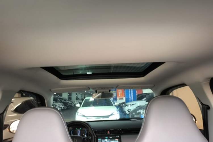 Used Leapmotor T03 2021 400 Luxury Pro Edition Headliner