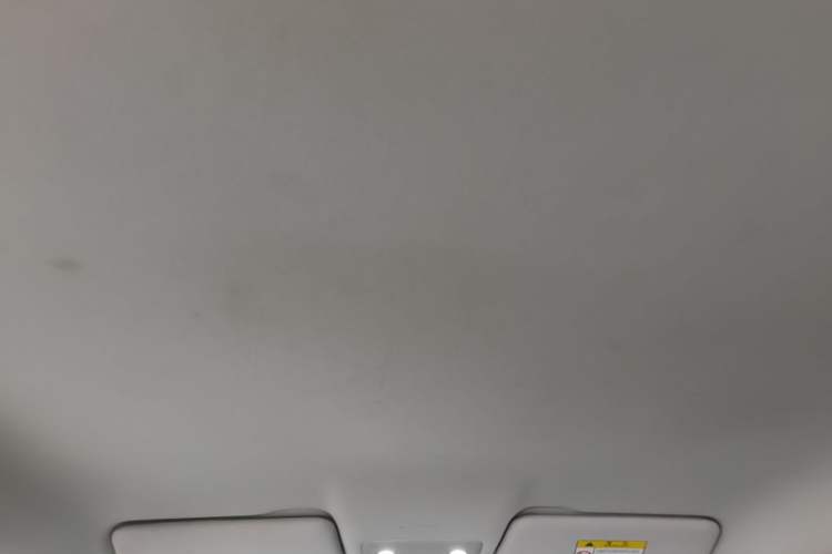Used Leapmotor T03 2021 400 Lite Edition Lithium Iron Phosphate Headliner