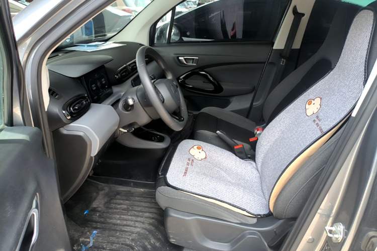 Used Leapmotor T03 2021 400 Lite Edition Lithium Iron Phosphate Left Front Seat