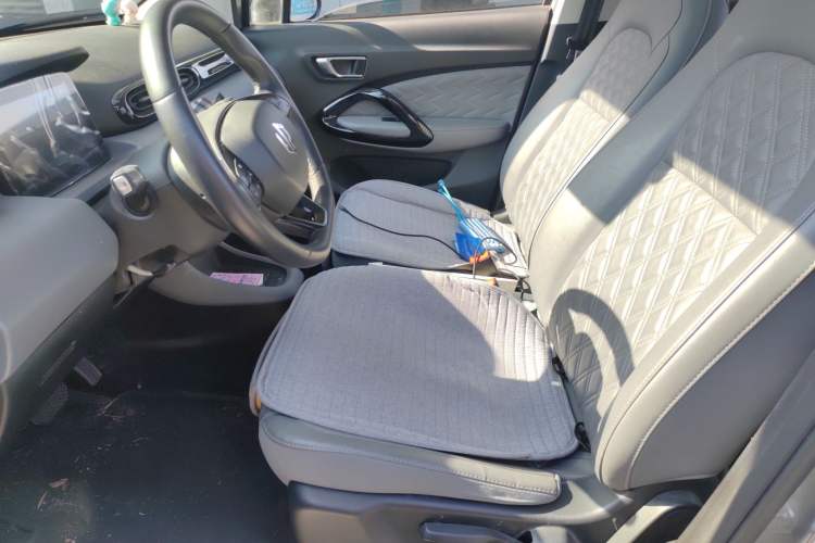 Used Leapmotor T03 2021 400 Luxury Edition Left Front Seat