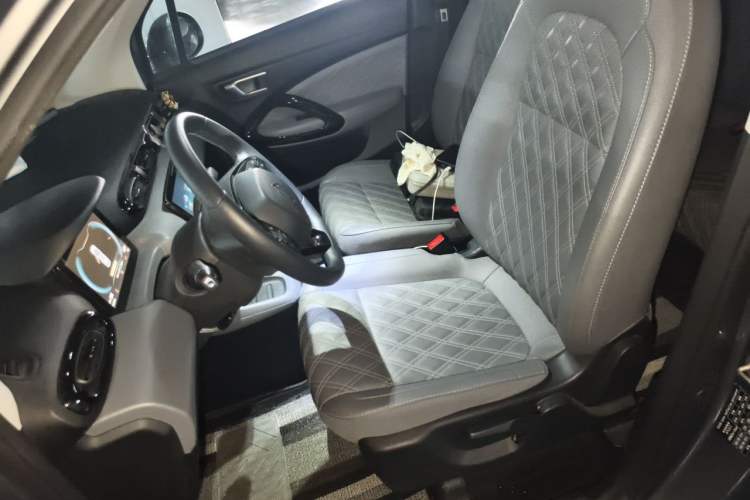 Used Leapmotor T03 2021 400 Luxury Edition Left Front Seat
