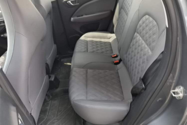 Used Leapmotor T03 2021 400 Online Booking Version Left Rear Seat