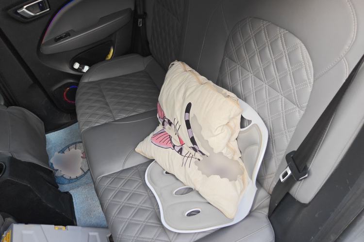 Used Leapmotor T03 2021 400 Luxury Edition Left Rear Seat