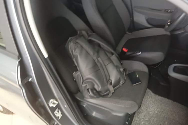 Used Leapmotor T03 2021 400 Micro-Sugar Version Right Front Seat