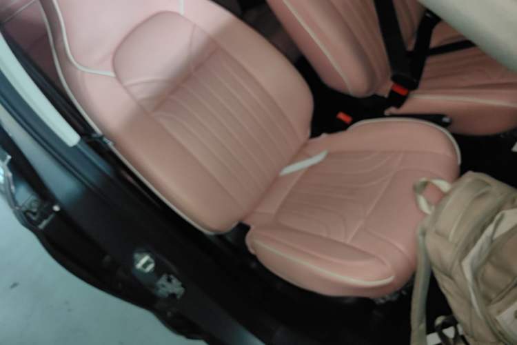 Used Leapmotor T03 2021 400 Lite Edition - Lithium-Ion Battery Right Front Seat