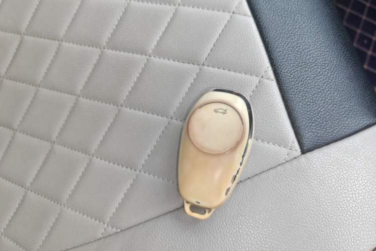 Used Leapmotor T03 2021 400 Lite Edition Lithium Iron Phosphate Vehicle Key