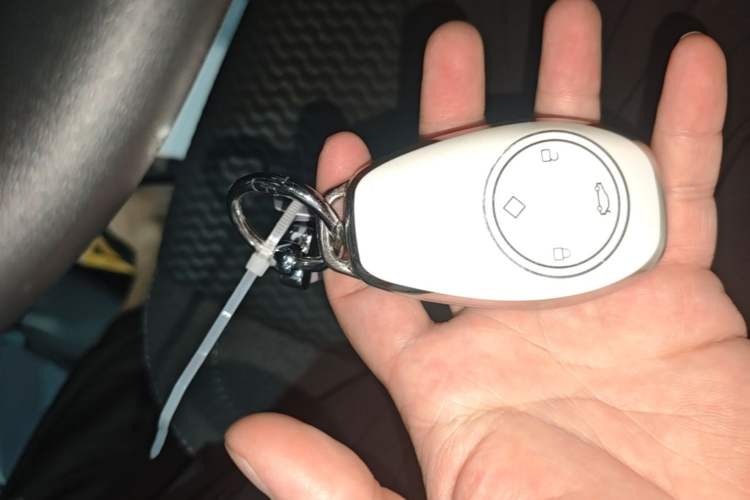 Used Leapmotor T03 2021 400 Lite Edition Lithium Iron Phosphate Vehicle Key