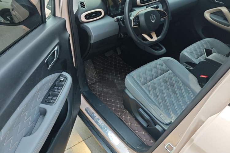 Used Leapmotor T03 2021 400 Luxury Edition Driver Seat