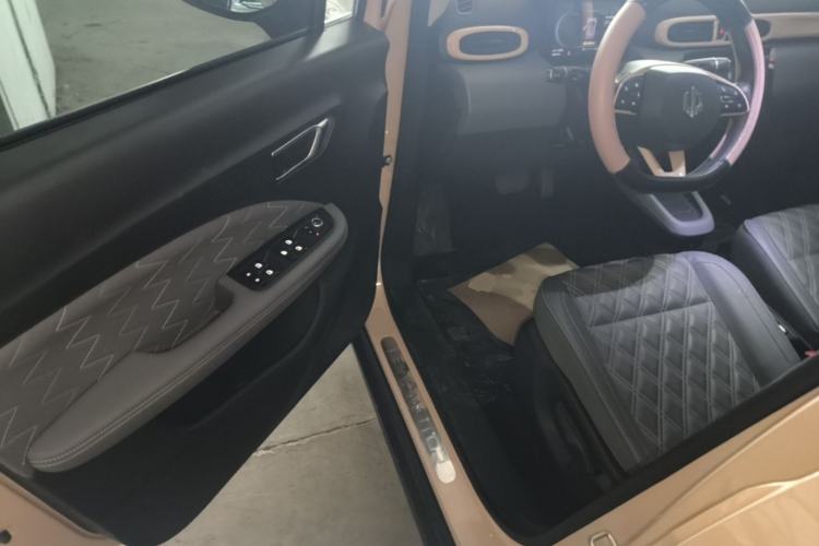 Used Leapmotor T03 2021 400 Luxury Pro Edition Driver Seat