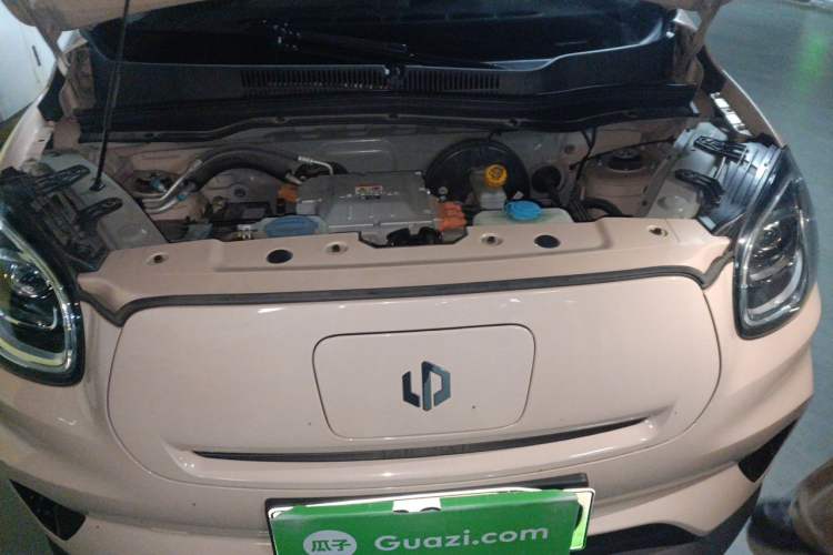 Used Leapmotor T03 2021 400 Lite Edition Lithium Iron Phosphate Engine Bay