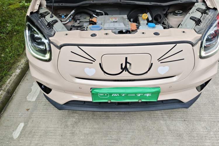 Used Leapmotor T03 2021 400 Luxury Edition Engine Bay