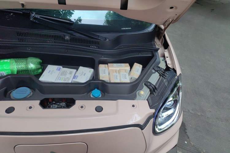 Used Leapmotor T03 2021 400 Luxury Edition Engine Bay Left