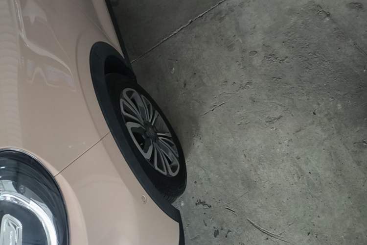 Used Leapmotor T03 2021 400 Luxury Edition Exterior 4