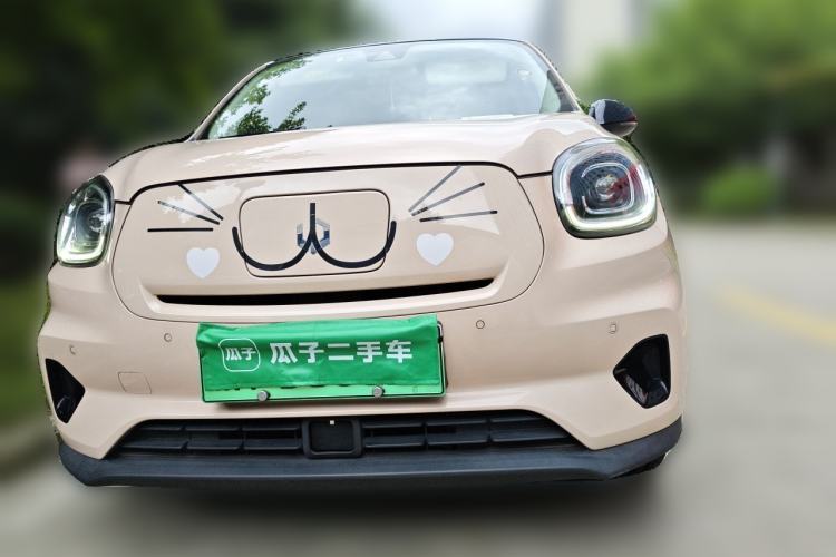 Used Leapmotor T03 2021 400 Luxury Edition Front