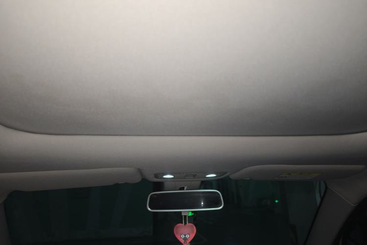 Used Leapmotor T03 2021 400 Luxury Pro Edition Headliner