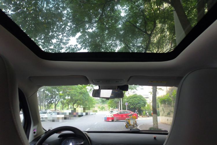 Used Leapmotor T03 2021 400 Luxury Pro Edition Headliner
