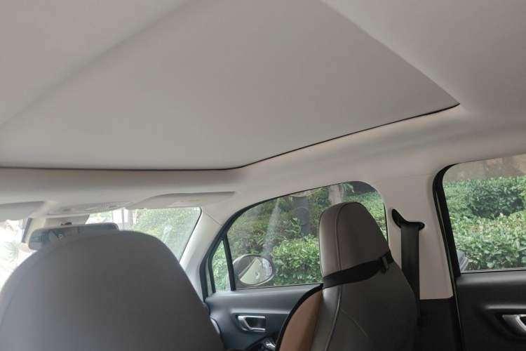 Used Leapmotor T03 2021 400 Luxury Pro Edition Headliner