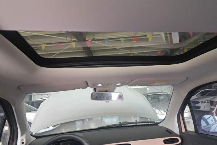 Used Leapmotor T03 2021 400 Luxury Edition Headliner