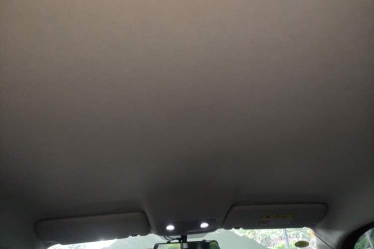 Used Leapmotor T03 2021 400 Lite Edition Lithium Iron Phosphate Headliner