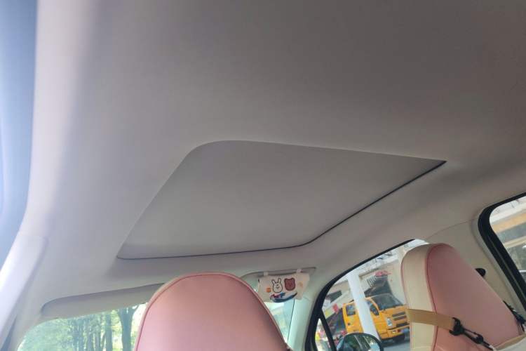 Used Leapmotor T03 2021 400 Luxury Pro Edition Headliner