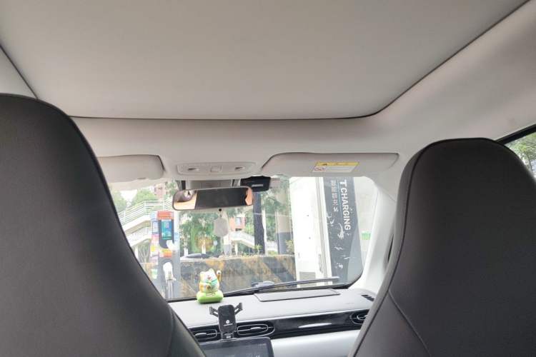Used Leapmotor T03 2021 400 Luxury Pro Edition Headliner