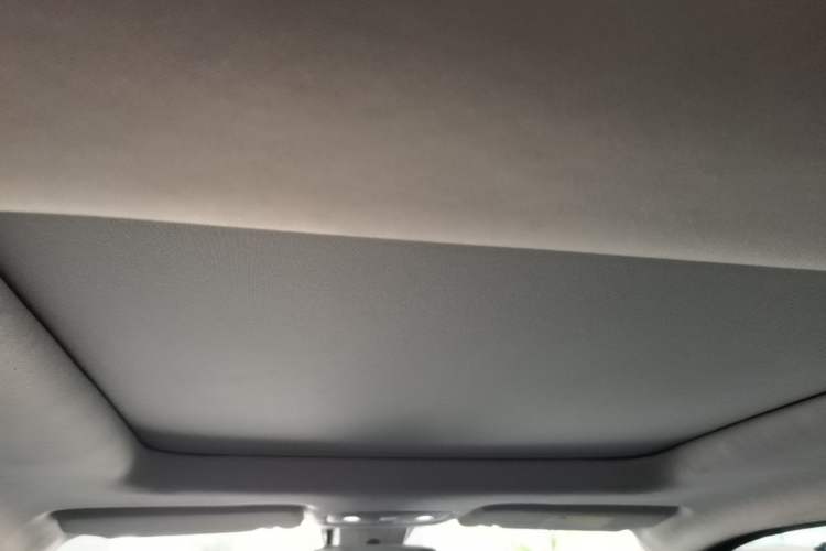 Used Leapmotor T03 2021 400 Luxury Pro Edition Headliner