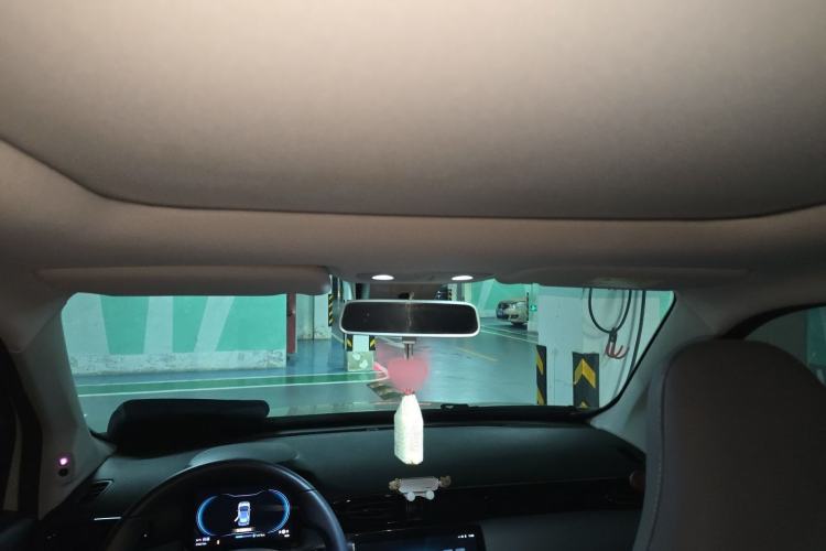 Used Leapmotor T03 2021 400 Luxury Pro Edition Headliner