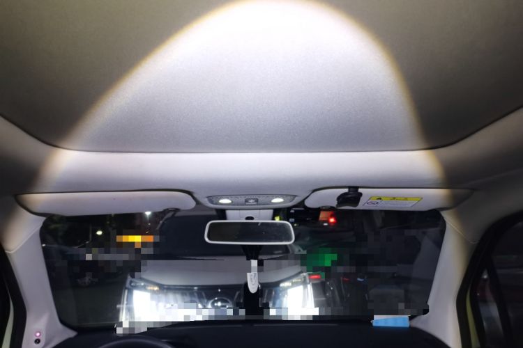 Used Leapmotor T03 2021 400 Luxury Pro Edition Headliner