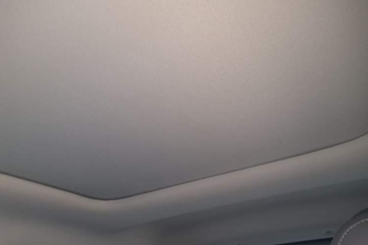 Used Leapmotor T03 2021 400 Luxury Edition Headliner